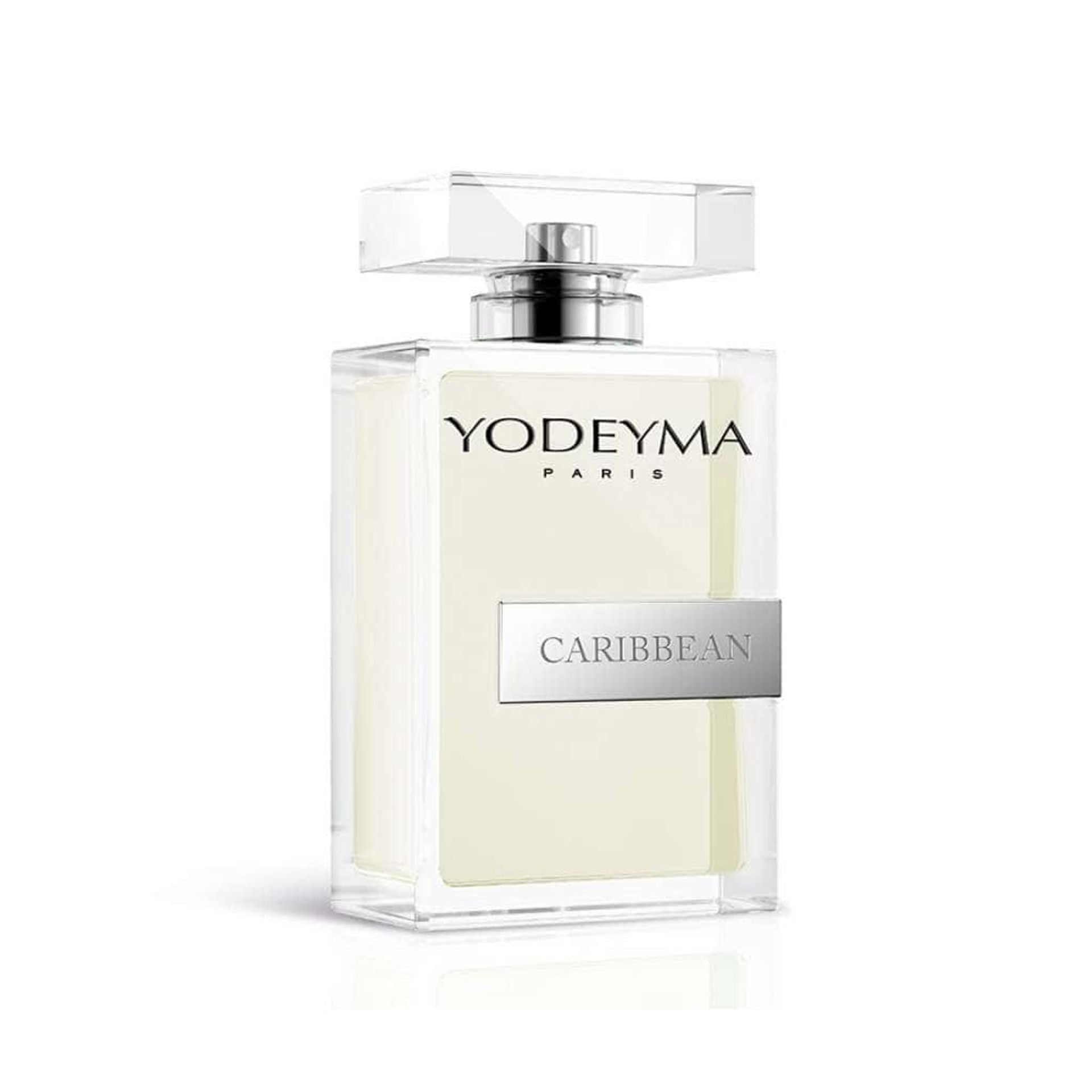Yodeyma Parfums Caribbean Parfum Homme 100 ml Frais - Felix Store 
