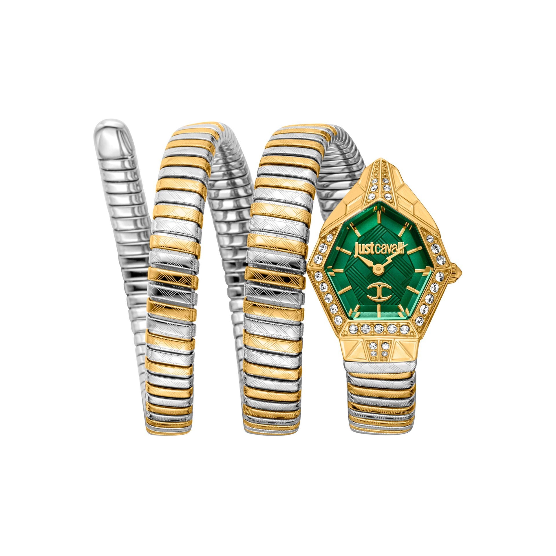 Just Cavalli Montre Femme Quartz Acier Inoxydable Cadran Analogique 23mm