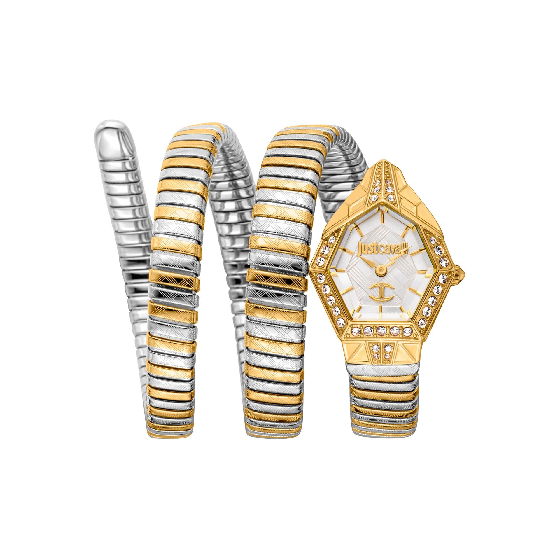 Just Cavalli Montre Femme Quartz Acier Inoxydable Cadran Analogique 23 mm