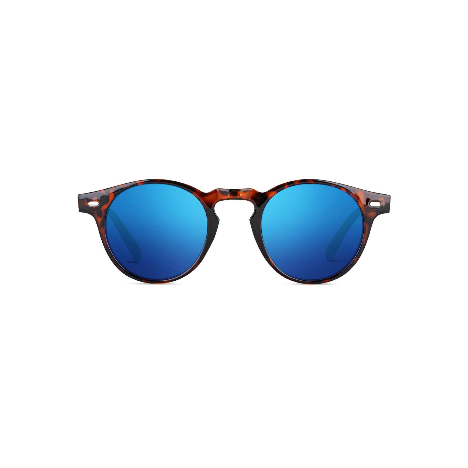 Twig Lunettes de Soleil Unisex avec Protection UV3 - Felix Store 