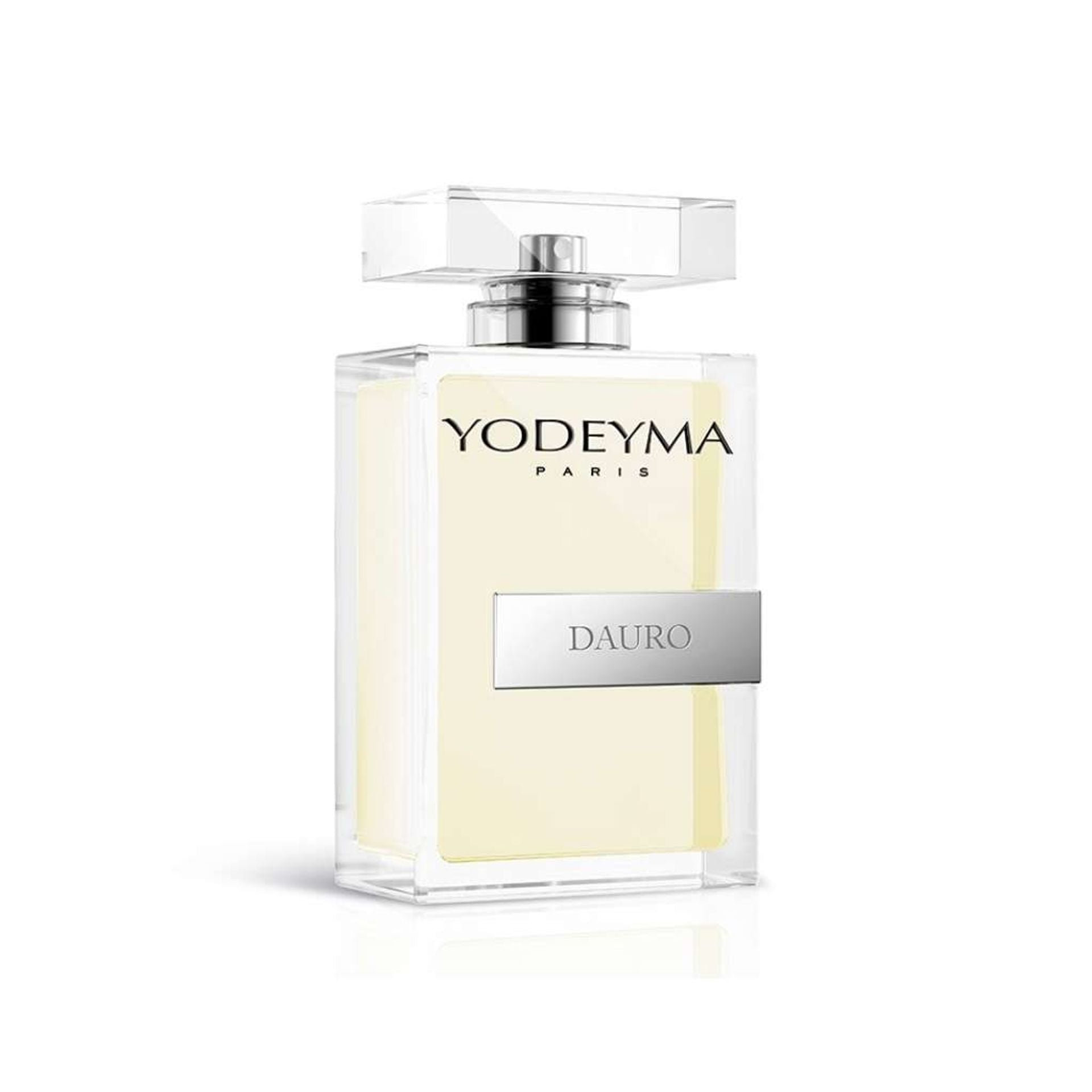 Yodeyma Parfums Complicité Parfum Pour Homme 100 ml - Felix Store 