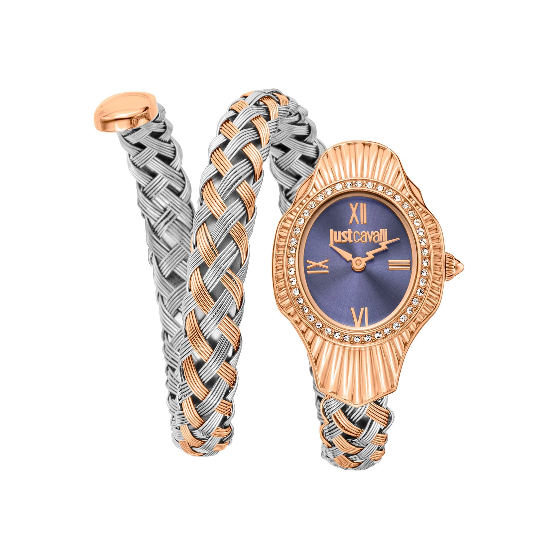 Montre Femme Just Cavalli Acier Inoxydable Quartz 23mm Analogique