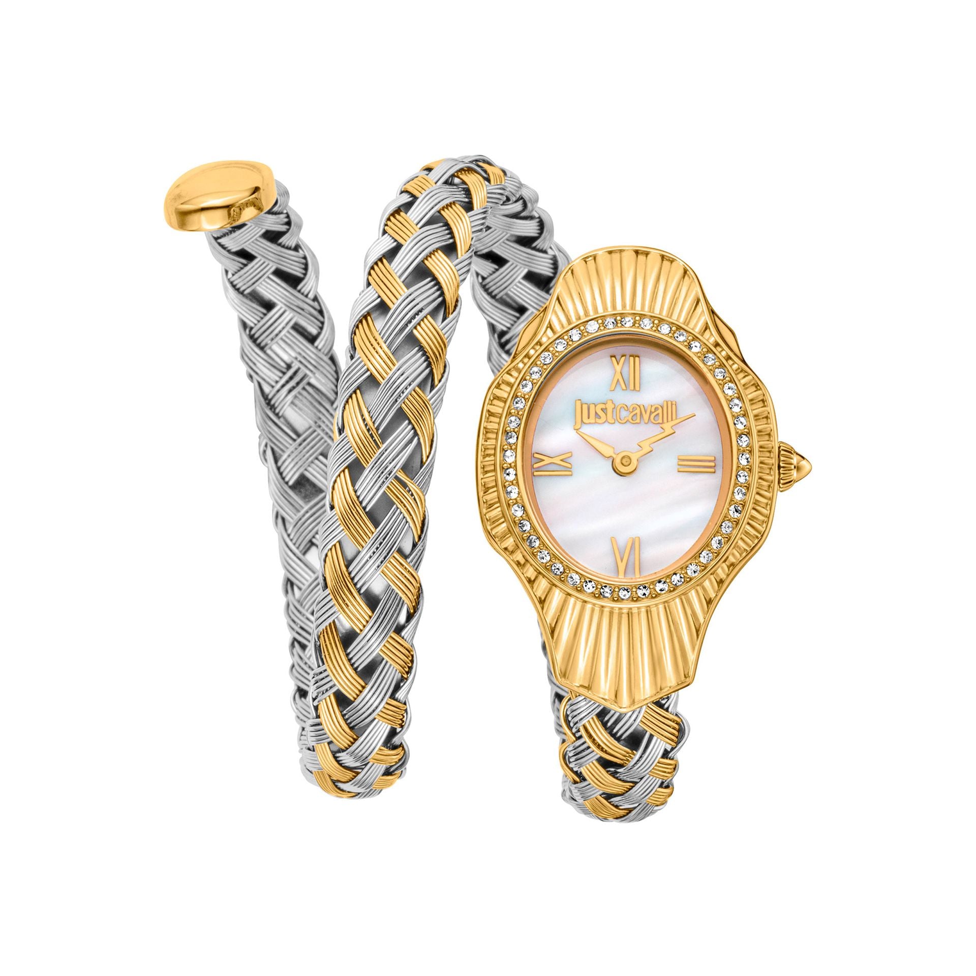 Montre Femme Just Cavalli Acier Inoxydable Quartz Cadran Analogique 23 Mm