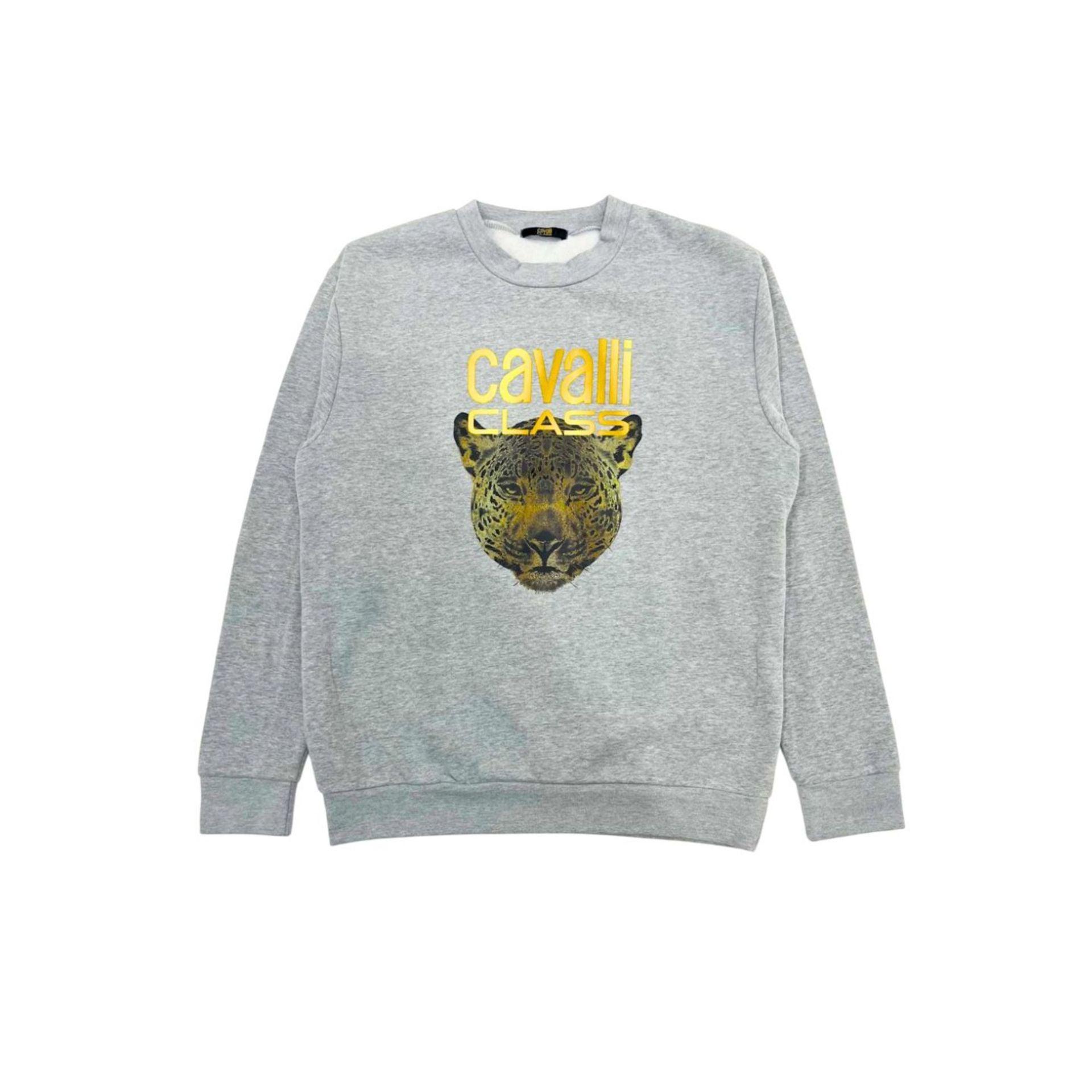 Cavalli Class Sweat-shirts Élégants Pour Femmes Modernes - Felix Store 